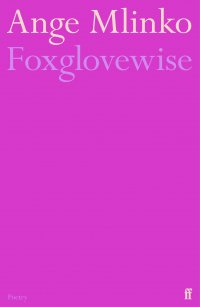 Image for article: Foxglovewise