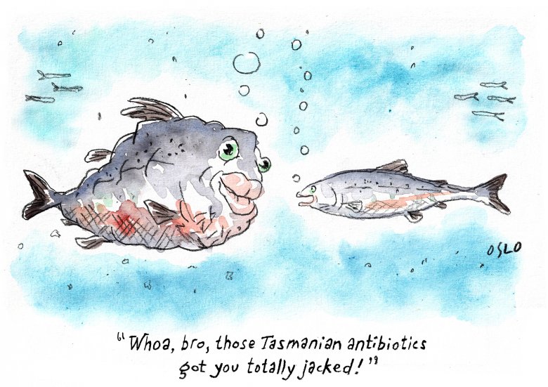 This week's cartoon Cartoon image, links to full cartoon page