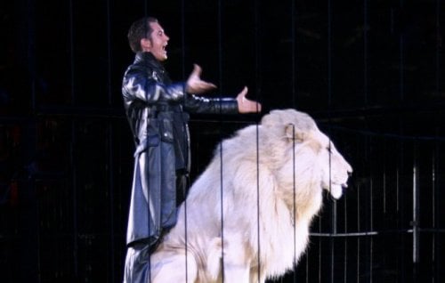 Image for article: Olympic lion taming
