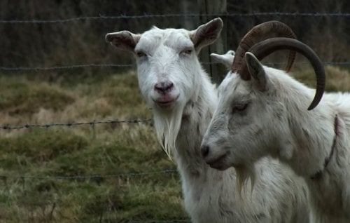 Image for article: Archipelago