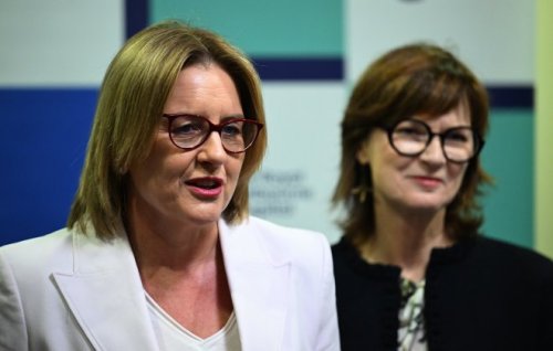 Image for article: Finding new pathways to treating pain