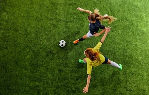 Image for article: Applying lessons from ecology to the beautiful game