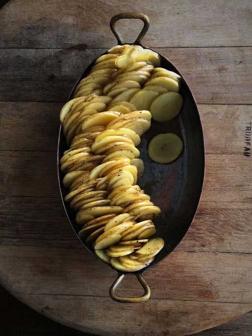 Image for article: Potato gratin with ricotta, honey and thyme