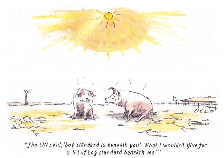 Cartoon image, links to full cartoon page