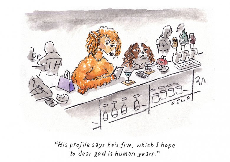 This week's cartoon Cartoon image, links to full cartoon page