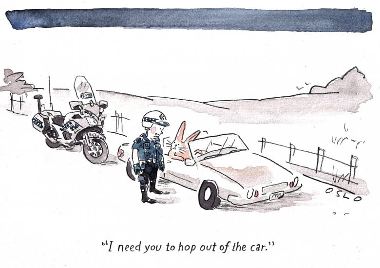 This week's cartoon Cartoon image, links to full cartoon page