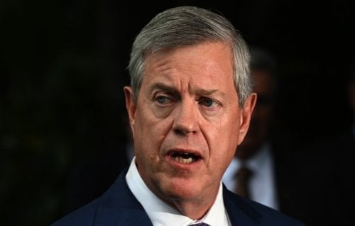 Image for article: The fight to overturn Queensland’s trans ban