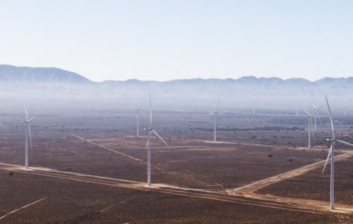 Image for article: ‘Moving sideways’: Emissions stuck in Morrison era 