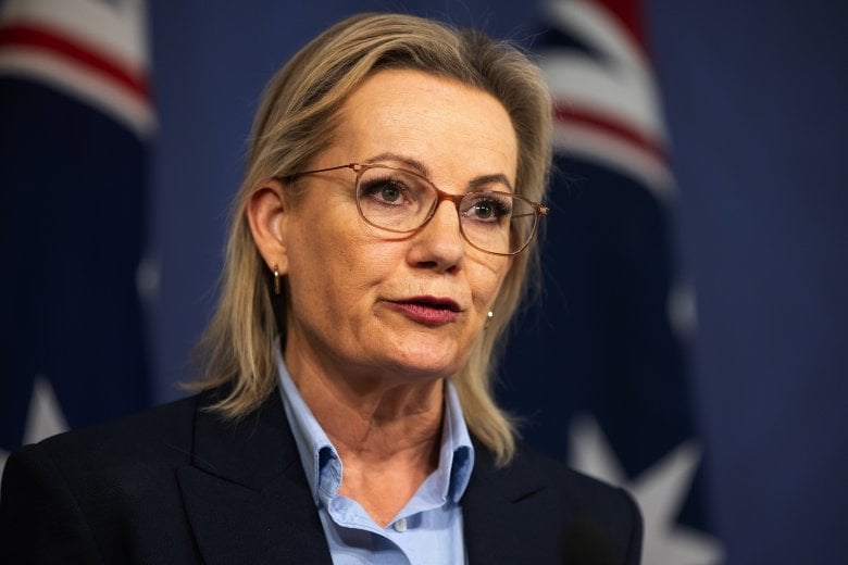 Opposition Leader Sussan Ley talks to the press last Sunday.