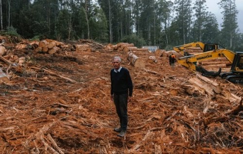 Image for article: Watt reforms leave door wide open to environmental carnage