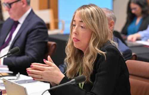 Image for article: Exclusive: NDIA chief intervened to throw advocate off scheme