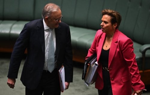 Prime Minister Anthony Albanese and Attorney-General Michelle Rowland in Parliament.