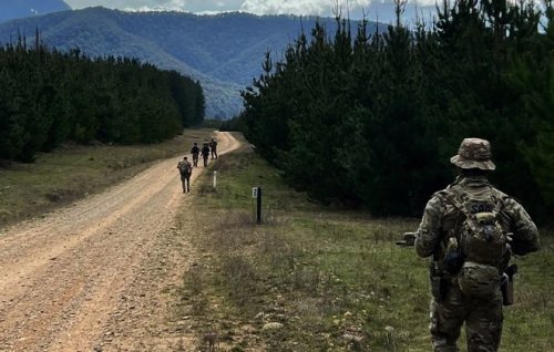 Image for article: The rise of sovereign citizens and the hunt for Dezi Freeman