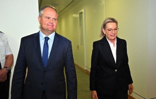 Image for article: Can Sussan Ley rebuild the Liberal Party?