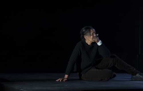 Image for article: Malthouse’s <em>The Birds</em> adaptation