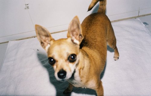 Image for article: Six poems