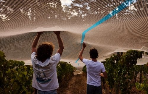 Image for article: Wilson Tanner’s <em>Legends</em>