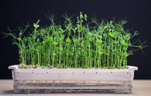 Image for article: <em>Push/Pull</em> at Adelaide Contemporary Experimental