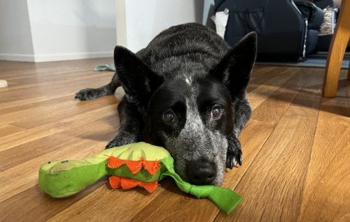 Image for article: Abroad-minded: the hope and heartache of moving overseas