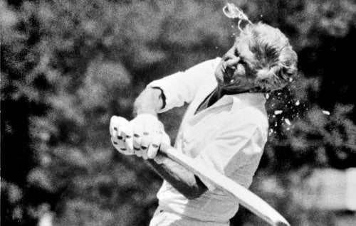 Image for article: History is written at the Pollies v Press cricket match