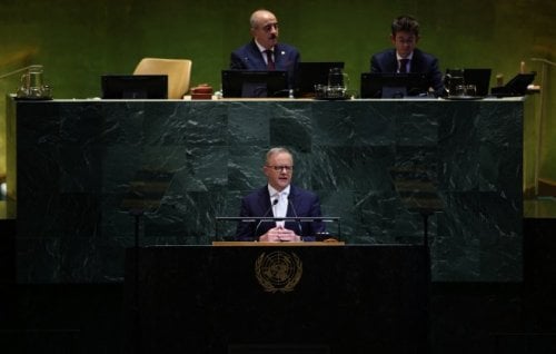 Image for article: Albanese formally recognises state of Palestine at UN