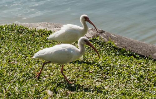 Image for article: Three poems