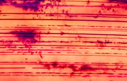 Image for article: Three poems